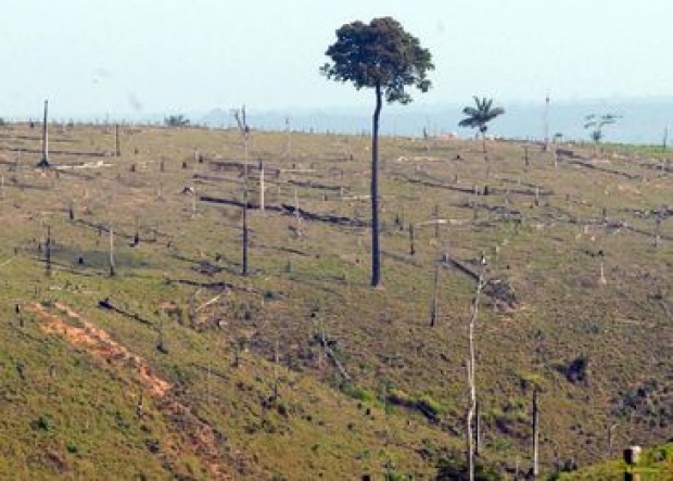 O CAR é um sistema eletrônico que integra as informações das propriedades rurais e será a base de dados para o controle, monitoramento e combate ao desmatamento no Brasil