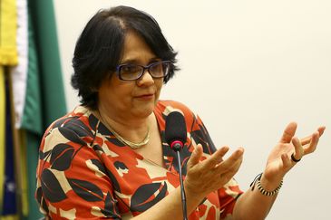 A ministra da Mulher, da Família e dos Direitos Humanos, Damares Alves, participa de audiência pública na Comissão de Seguridade Social e Família da Câmara dos Deputados. 