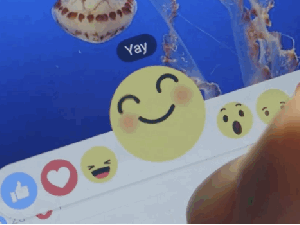 Os reactions do Facebook: Love, Haha, Yay, Wow, Sad e Angry; opções são alternativas ao botão curti (Foto: Reprodução/Facebook)