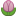 Tulip Emoticon