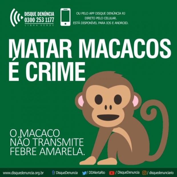 Banner da campanha do Disque Denúncia alerta que matar macacos é crime ambiental 