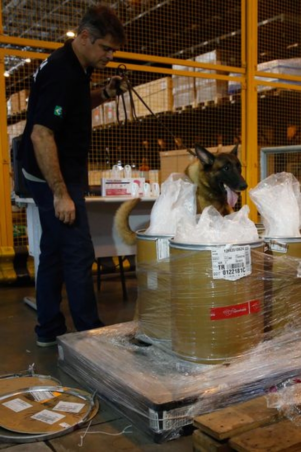 Cão farejador durante apreensão de carga com 100kg de heroína e 50kg ácido pícrico, utilizado para fabricação de explosivos, no Terminal de Cargas do Aeroporto Internacional Tom Jobim/Galeão