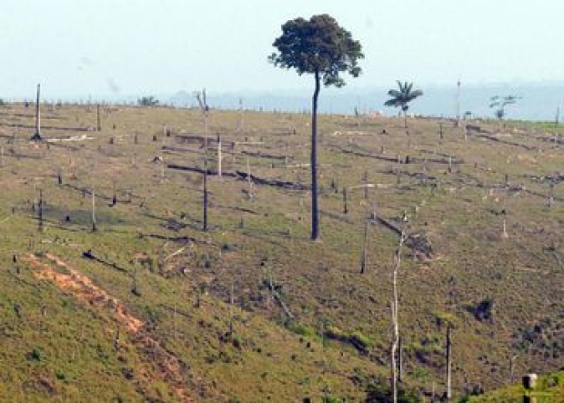 O CAR é um sistema eletrônico que integra as informações das propriedades rurais e será a base de dados para o controle, monitoramento e combate ao desmatamento no Brasil/Arquivo/Agència Brasil O CAR é um sistema eletrônico que integra as informações das propriedades rurais e será a base de dados para o controle, monitoramento e combate ao desmatamento no Brasil