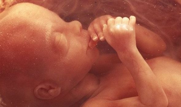 Mundo Positivo Dez Coisas Que O Bebe Pode Fazer Dentro Da Barriga Da Mamae Mundo Positivo
