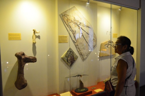 museu nacional, UFRJ, dinossauro
