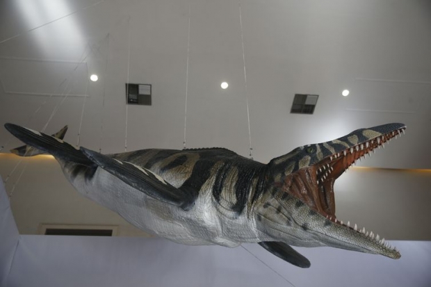  Representação de mosassauro, lagarto marinho do período Cretáceo na exposição Quando Nem Tudo era Gelo,novas Descobertas no Continente Antártico, a primeira do Museu Nacional da UFRJ após o incêndio, abrigada no Museu Casa da Moeda do Brasil.