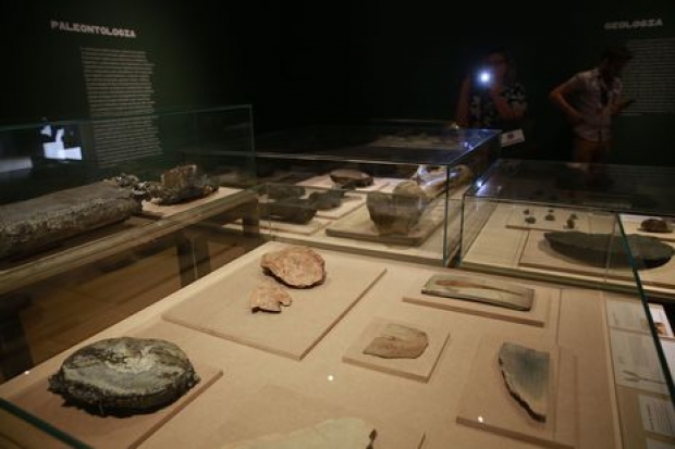 Fernando Frazão/Agência Brasil Fósseis na exposição Museu Nacional Vive - Arqueologia do Resgate, a primeira com peças retiradas do incêndio, no Centro Cultural Banco do Brasil.