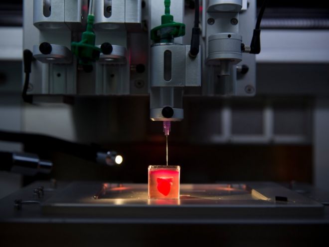 Pesquisadores israelenses imprimem o primeiro coração 3D vascularizado do mundo - 2