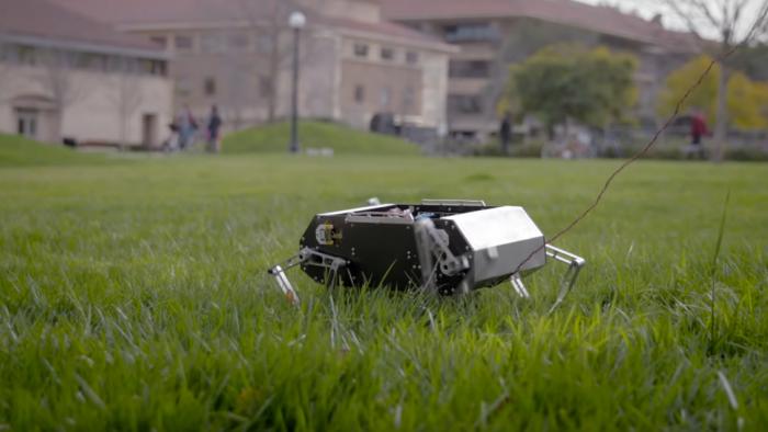 Estudantes criam “robô pet” barato e liberam projeto em código aberto - 1