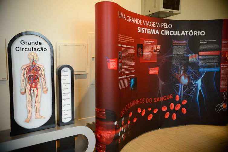 Rio de Janeiro - Exposição Vias do Coração, no Museu da Vida (castelo da Fiocruz), divulga o conhecimento cardíaco como forma de estimular a prevenção das doenças cardiovasculares (Tomaz Silva/Agência Brasil)