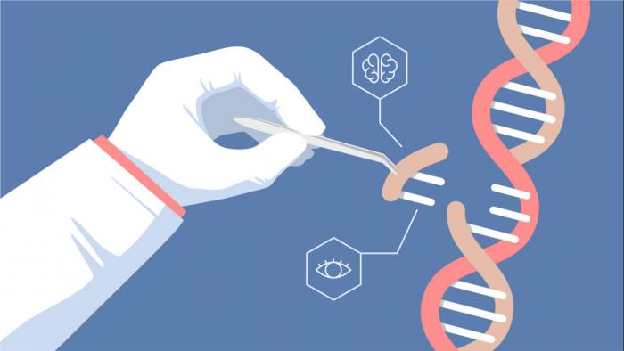 Bebês modificados geneticamente podem ter uma menor expectativa de vida - 1