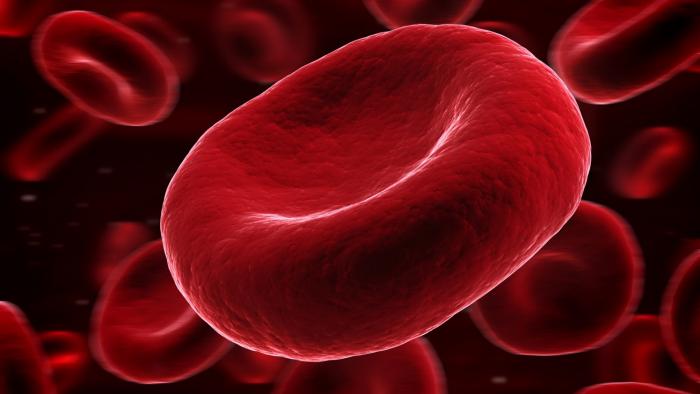 Cientistas conseguem transformar sangue tipo A em doador universal - 1