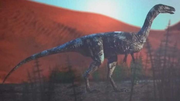 Descoberta nova espécie de dinossauro no noroeste do Paraná - 1
