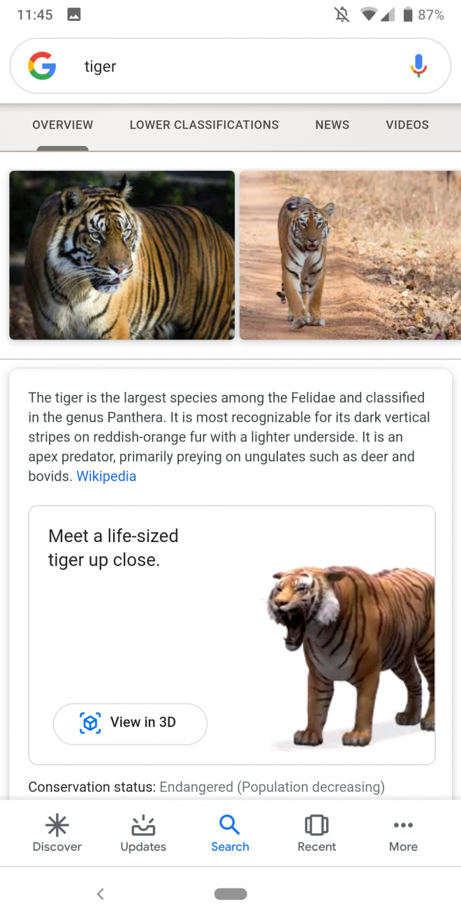 Mundo Positivo » Pesquisa do Google começa a mostrar animais em realidade  aumentada pelo celular - Mundo Positivo