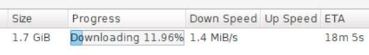 Por que às vezes o download do torrent é lento mesmo com uma internet rápida? - 2