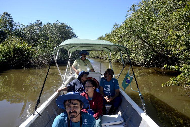 Manguezais da Área de Proteção Ambiental (APA) de Guapi-Mirim e Estação Ecológica da Guanabara, região hidrográfica da Baía de Guanabara.