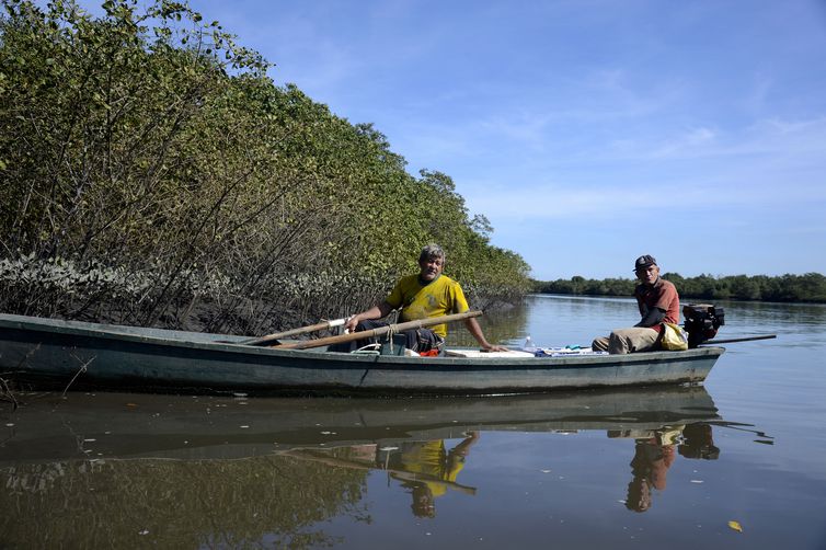 Manguezais da Área de Proteção Ambiental (APA) de Guapi-Mirim e Estação Ecológica da Guanabara, região hidrográfica da Baía de Guanabara, Guapimirim, região metropolitana do Rio de Janeiro.