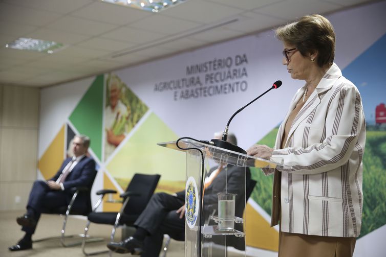 A ministra da Agricultura, Pecuária e Abastecimento, Tereza Cristina, acompanhada do secretário-executivo, Marcos Montes, abre a Reunião de Vice-Ministros de Agricultura do Brics