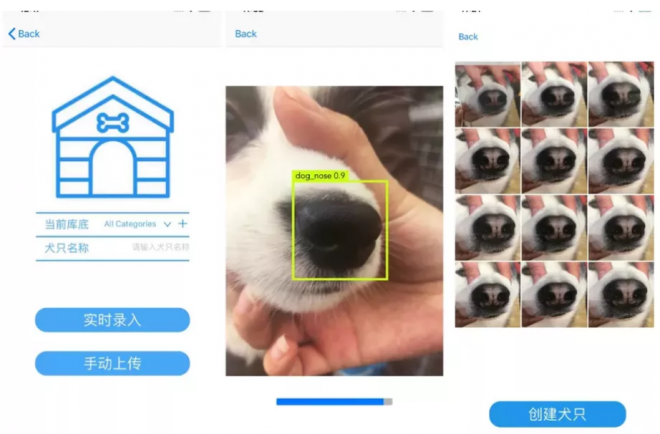 Startup usa reconhecimento facial para identificar cachorros pelo focinho - 2