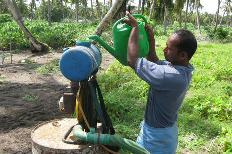 Pesquisas que mostram que os agrotóxicos causam cerca de 200 mil mortes por envenenamento a cada ano em todo o mundo