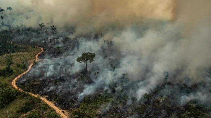 NASA mostra distribuição de monóxido de carbono com queimadas no Brasil - 1