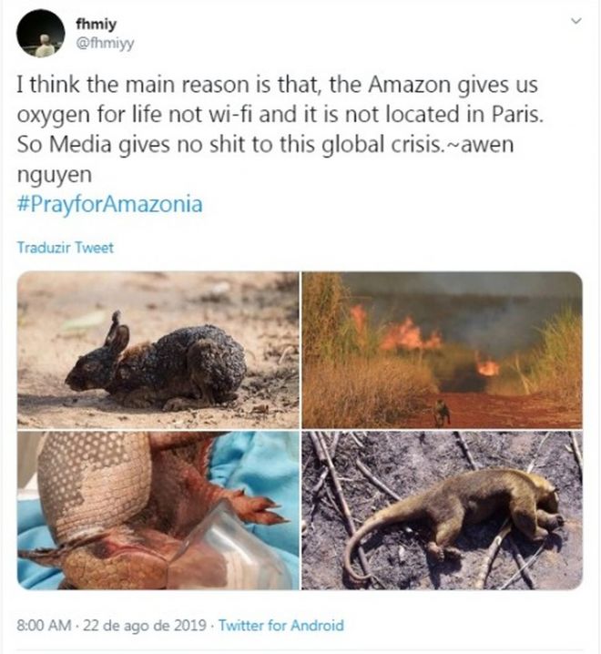 O que é real e o que é fake nas postagens sobre as queimadas amazônicas? - 3
