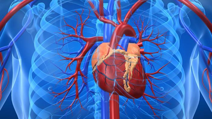 1ª cirurgia cardíaca feita a longa distância com auxílio de robôs é um sucesso - 1