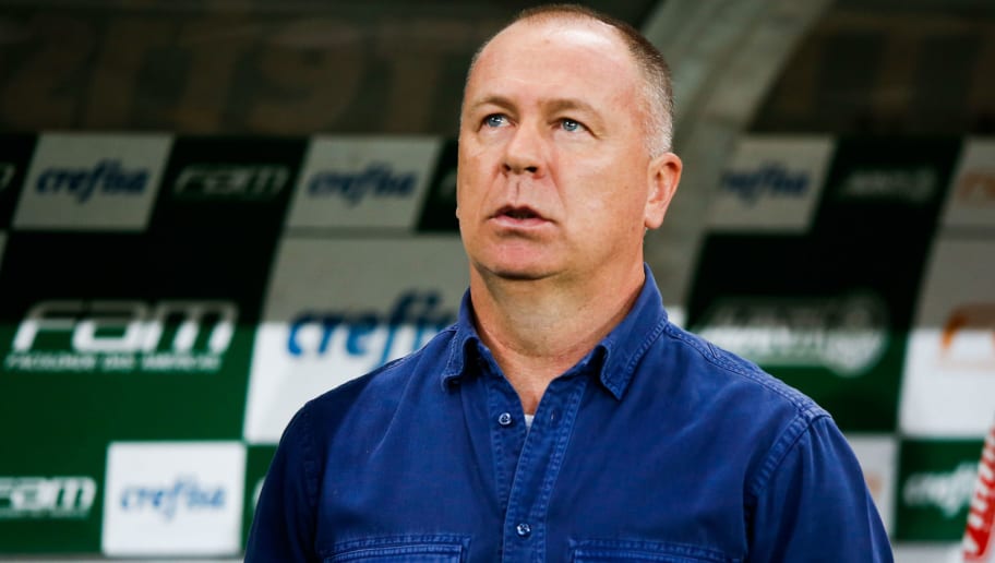 Mano faz planos para jovens no Palmeiras e elogia trio; técnico sinaliza mudança de estilo - 1