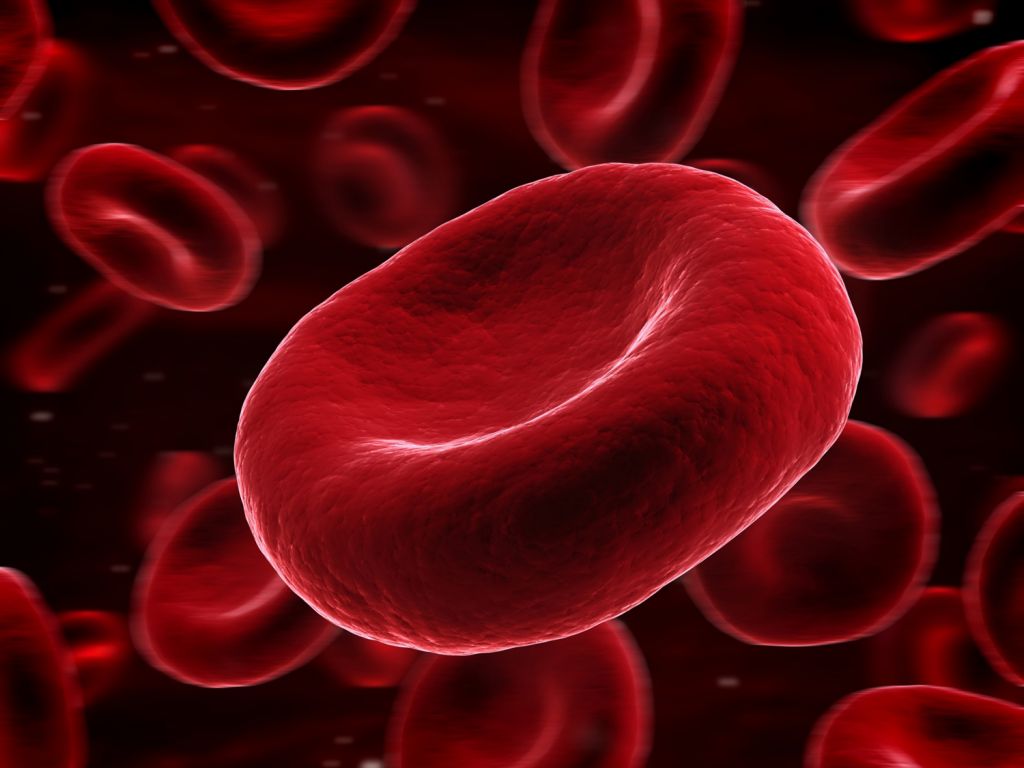 Cientistas japonenes prometem salvar vidas com sangue artificial - 2