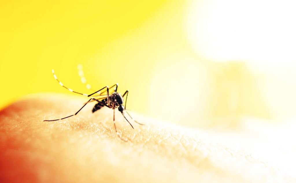 Novo exame que identifica o vírus da Zika deve ajudar as políticas públicas - 2