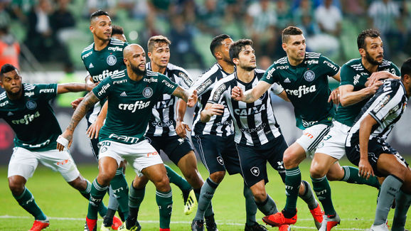 Palmeiras v Botafogo - Brasileirao Series A 2018