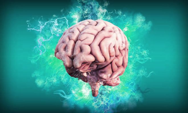 Quantos anos tem seu cérebro? Cientistas treinam IA para revelar idade cerebral - 2