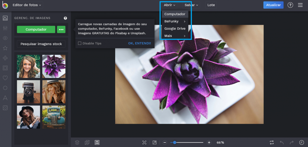 Saiba como usar o editor de fotos BeFunky - 4