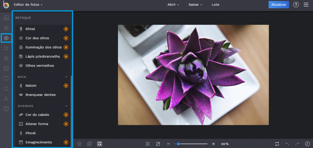 Saiba como usar o editor de fotos BeFunky - 6