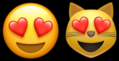 Saiba o que significa cada um dos emojis mais usados na Internet - 17
