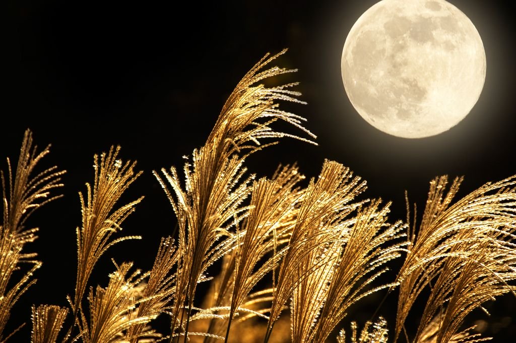 Tá vendo aquela Lua que brilha lá no céu? O que aconteceria se ela sumisse? - 4