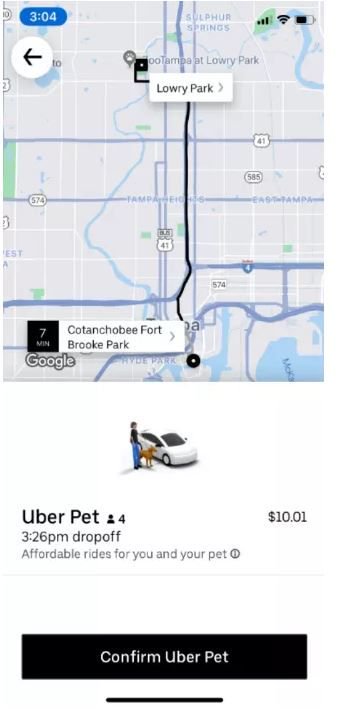 Uber agora oferece modalidade de corrida que permite animais de estimação - 2