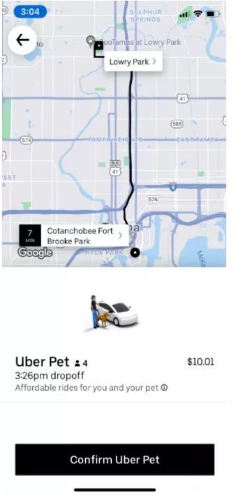 Uber agora oferece modalidade de corrida que permite animais de estimação - 2