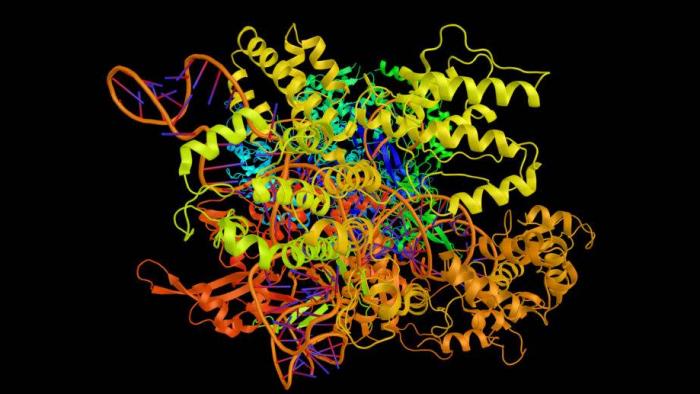 Edição genética: CRISPR é usado pela primeira vez em tratamento contra o câncer - 1