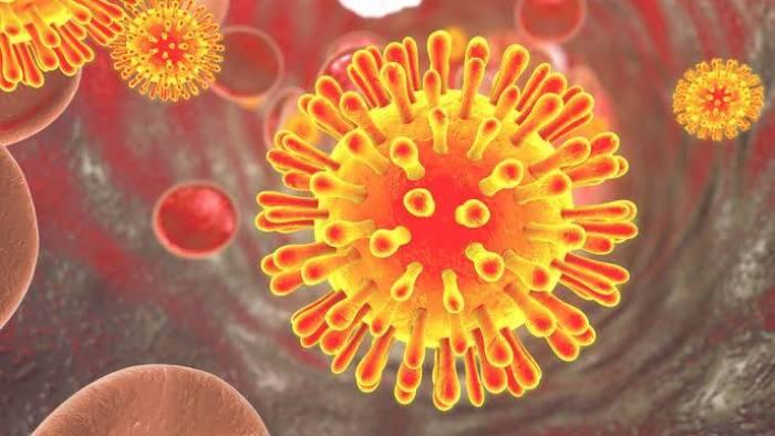 Novo subtipo do vírus HIV é descoberto por cientistas após quase 20 anos - 1
