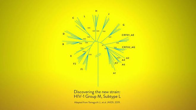 Novo subtipo do vírus HIV é descoberto por cientistas após quase 20 anos - 2