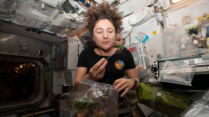 Salada espacial: astronautas da NASA comem vegetal cultivado na ISS - 1