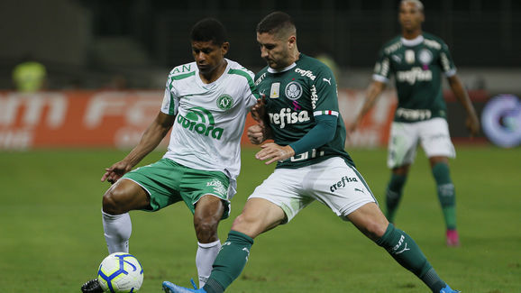 Ze Rafael,Marcio Araujo