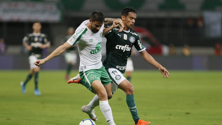 Zenit-RUS e Sporting-POR mostram interesse por Gustavo Scarpa - 1