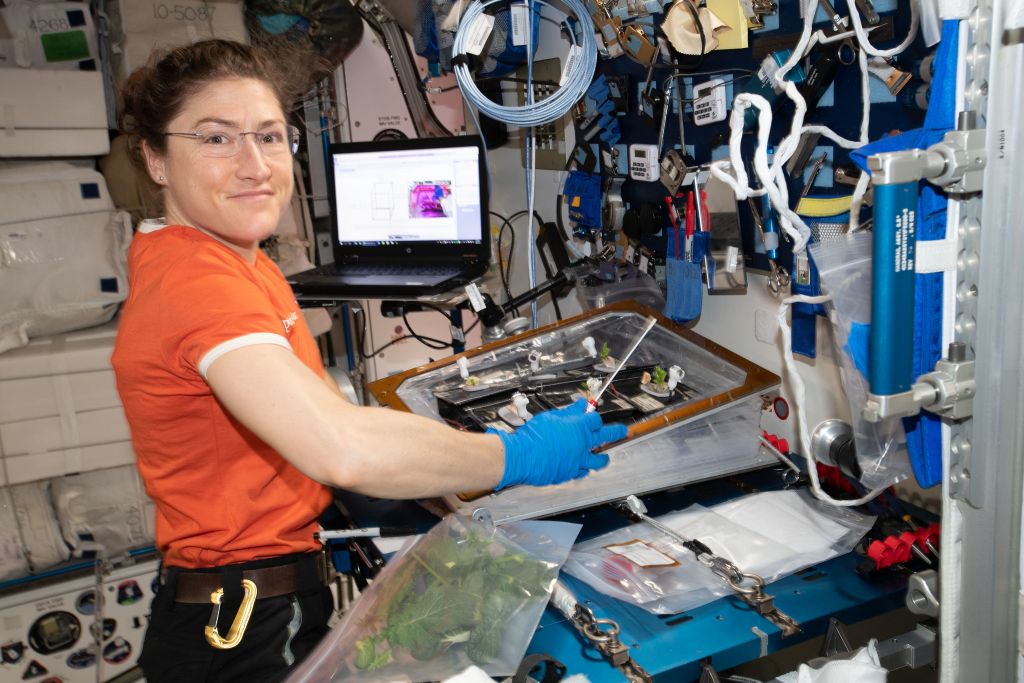 Astronauta da NASA bate recorde como a mulher a passar mais tempo no espaço - 2