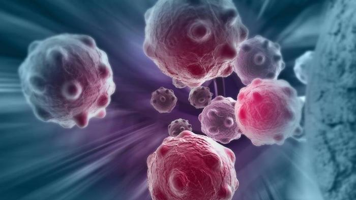 Cientistas criam composto que bloqueia alimentação de células de câncer - 1