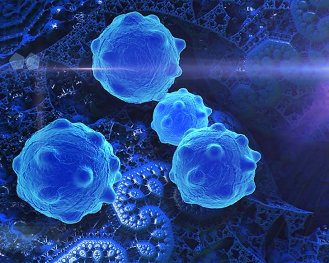 Cientistas criam composto que bloqueia alimentação de células de câncer - 2