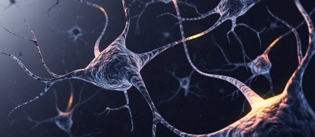 Cientistas criam neurônios artificiais e miram na cura do Alzheimer - 2