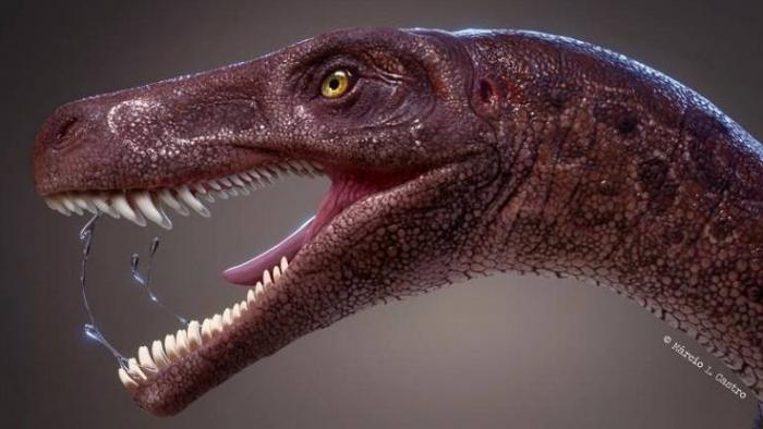 Fóssil encontrado no Brasil pode ser do primeiro dinossauro carnívoro da Terra - 1