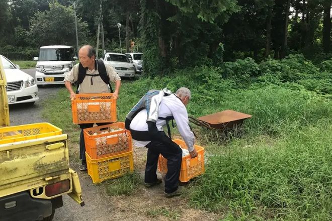 Idosos japoneses usam exoesqueletos para continuar no mercado de trabalho - 2